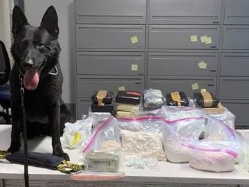 Photograph of seized drugs and cash with K9 Officer Liam. 