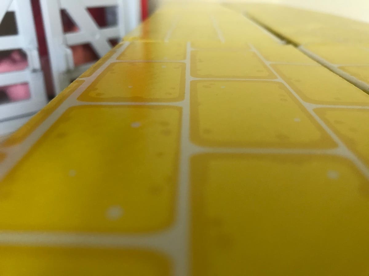 Follow the yellow brick road to fun, food, a farm and a film. 