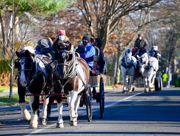 New York City might have the Rockefeller Center Christmas Tree, but good luck finding free horse-drawn carriage rides in Manhattan. 