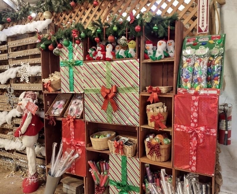 Christmas Tree Season