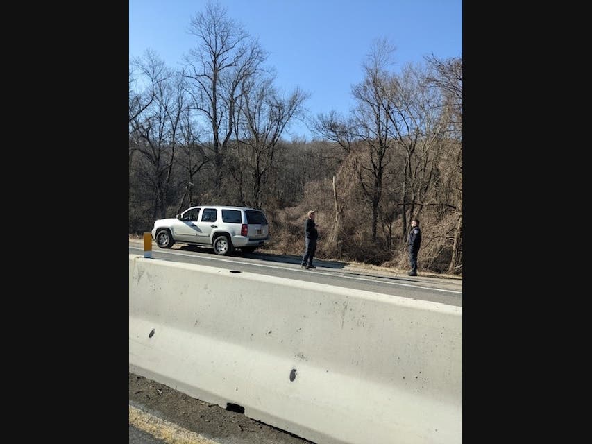 Canine units go to work near a car on the Saw Mill River Parkway. 