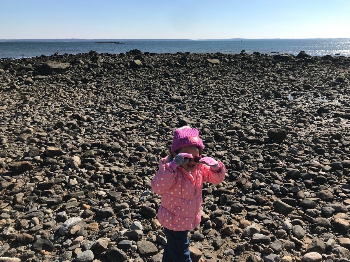 "Living in Rye offers residents an urban suburban mix feel and most residents own their homes."