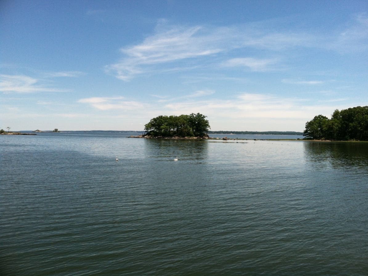 Volunteers will help with beach clean-up, trash removal, care for woodlands, perform trail maintenance, weed playgrounds, paint benches or picnic tables.