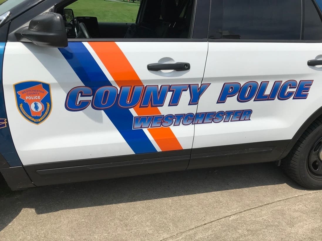 The driver, 28-year-old Nicholas Dilello of Poughquag, in Dutchess County, was charged with leaving the scene of a personal injury accident and tampering with physical evidence, both felonies.