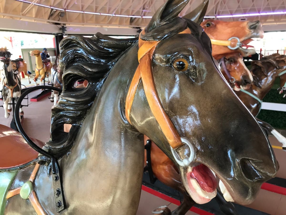 Tickets to ride are the same price for stallions, colts and foals on Labor Day.  