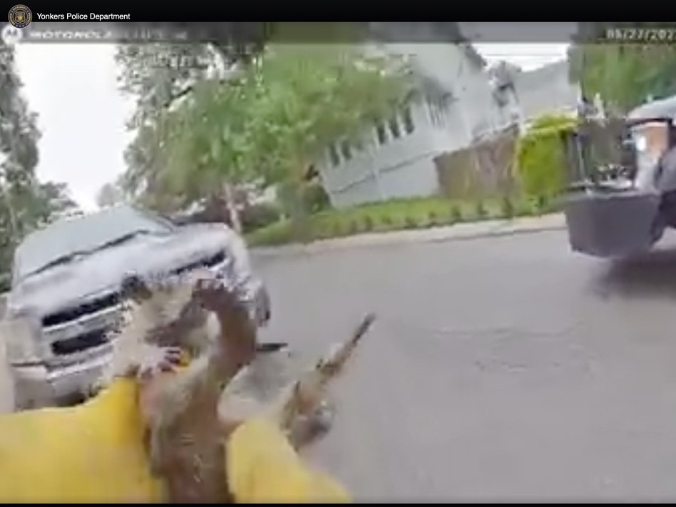 The mother and child reunion is only a motion away. 