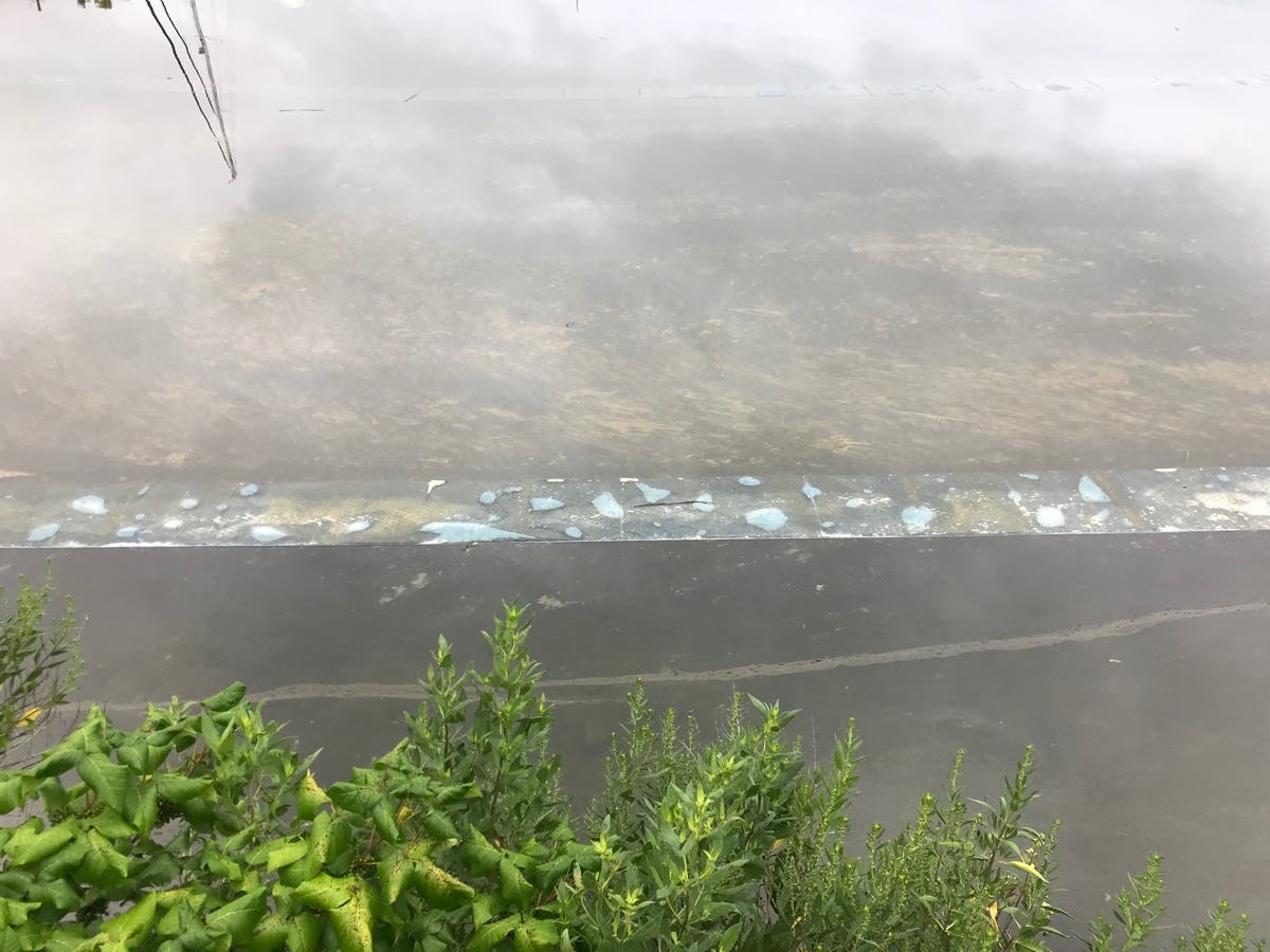 The bill would ensure that all pipeline activities being conducted on wetlands are properly insured while helping to safeguard the integrity of the state’s wetlands, according to sponsors. 