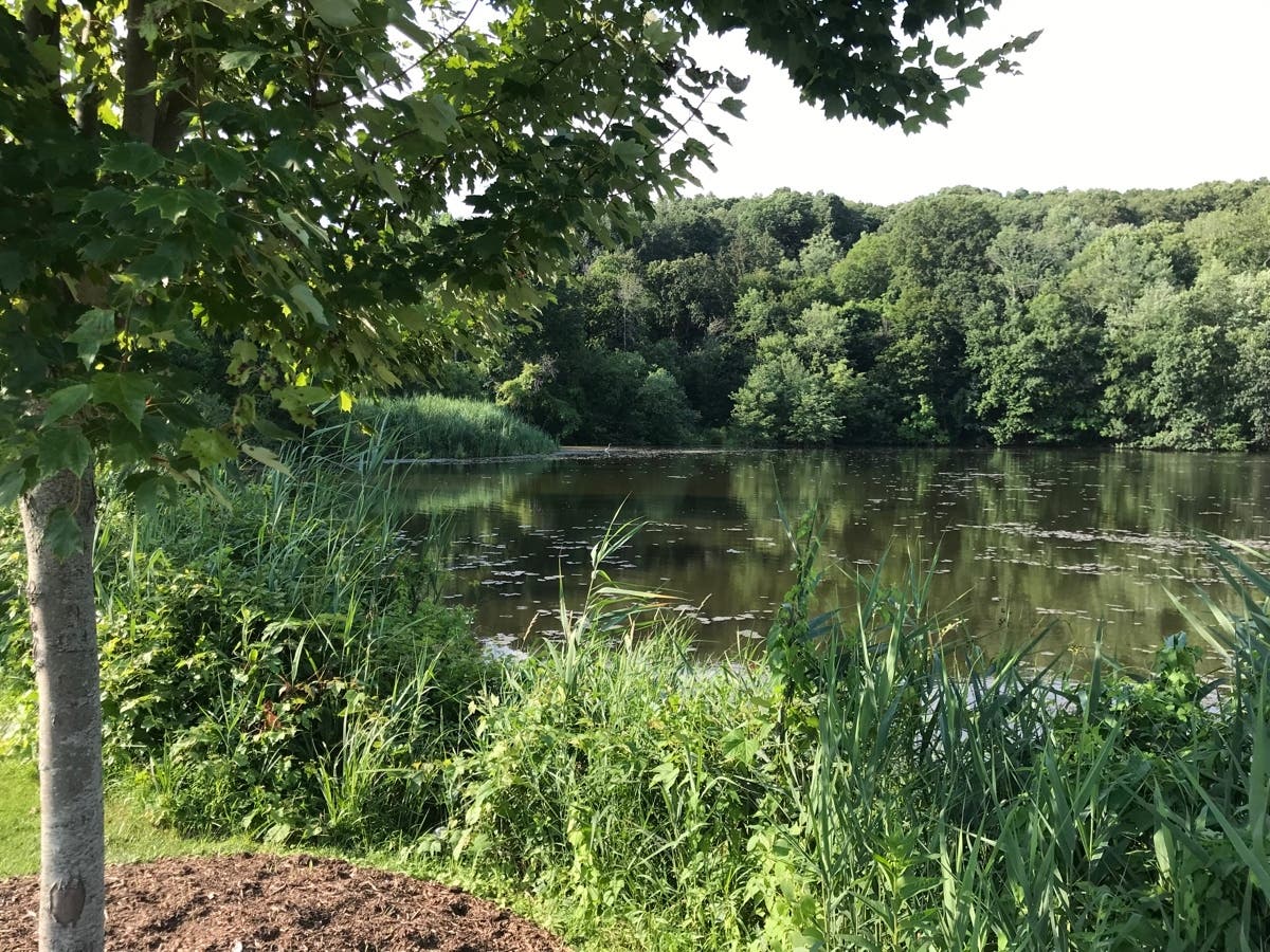 The County Mobile Clerk will be at the Bedford Hills Town Park on Wednesday, May 2, from 10 a.m. to 1p.m.