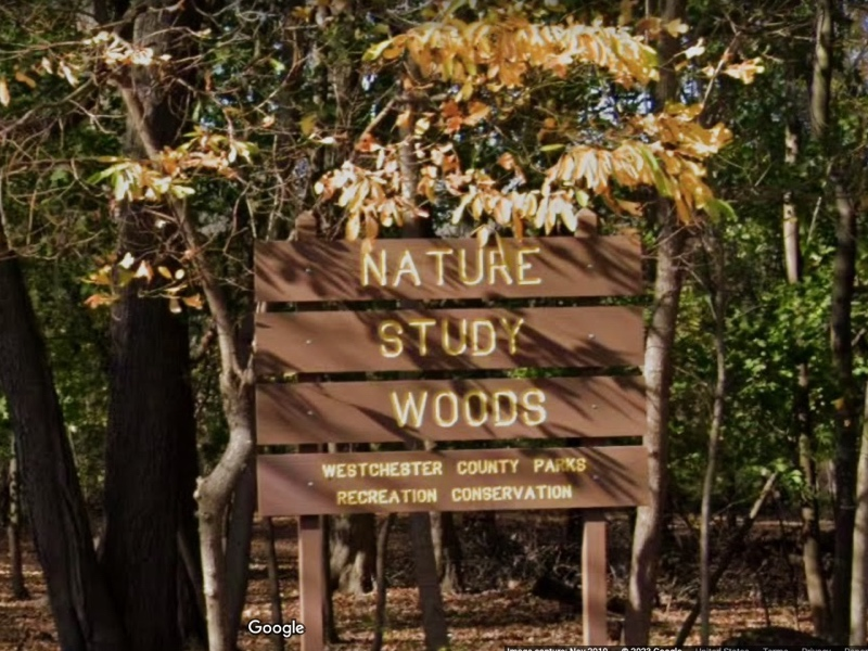 A Westchester County Public Safety spokesperson said that the cause of death remains under investigation. 