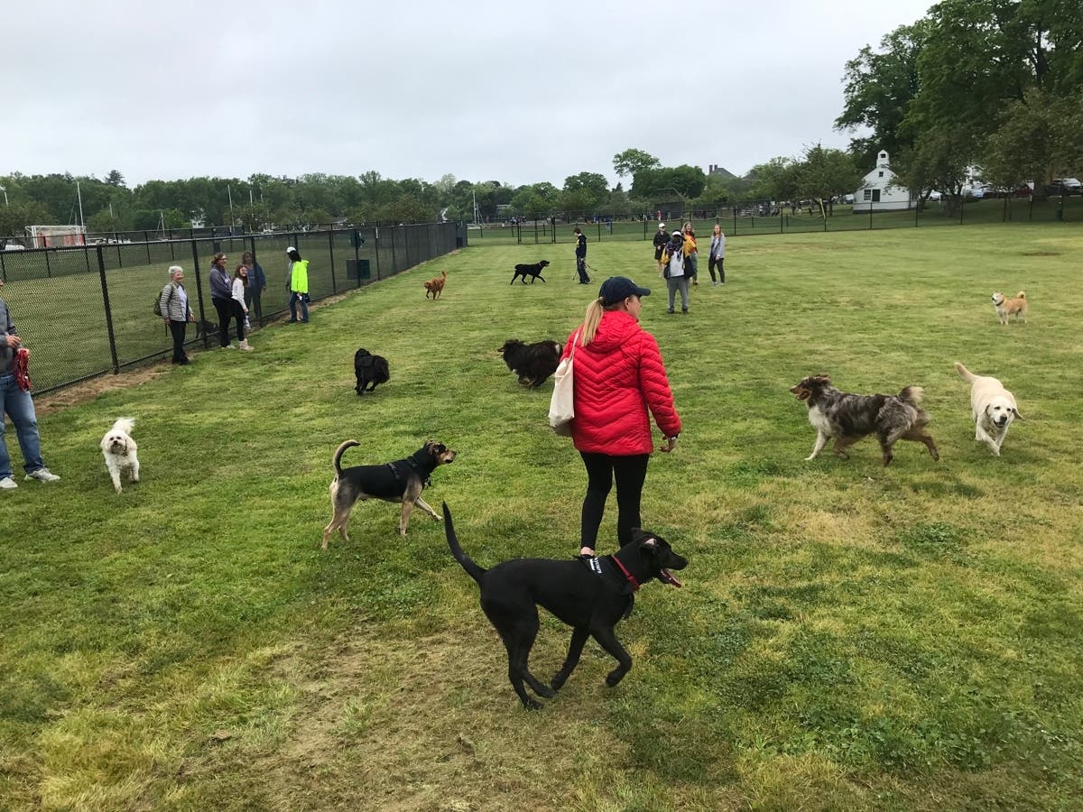 The Bark Park on the "Isle of Dogs" (better known as Harbor Island) was officially put through the paces for the first time this weekend. 