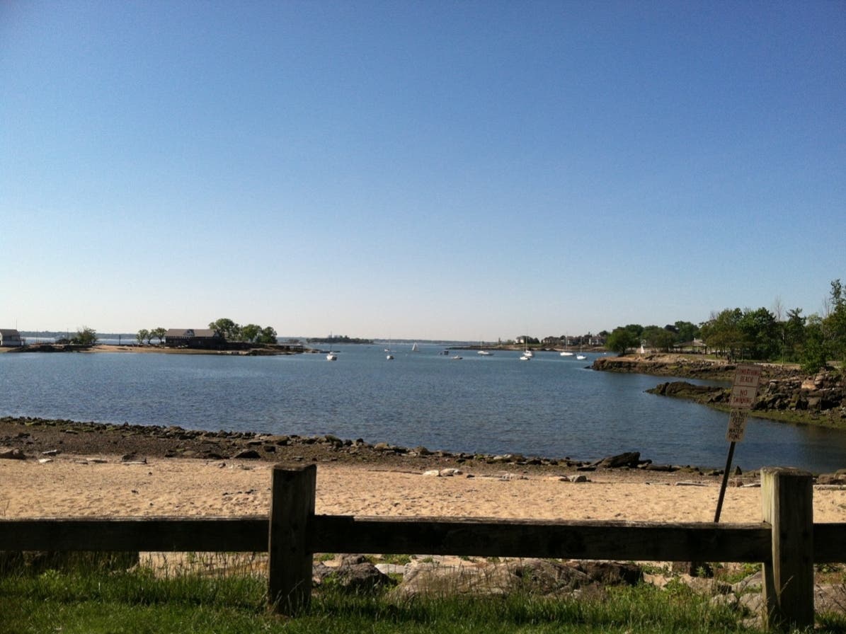 Save the Sound announced that their seasonal water quality monitoring program started up again this year and the first samples of the new year were analyzed by their team in the John and Daria Barry Foundation Water Quality Lab in their Larchmont office. 