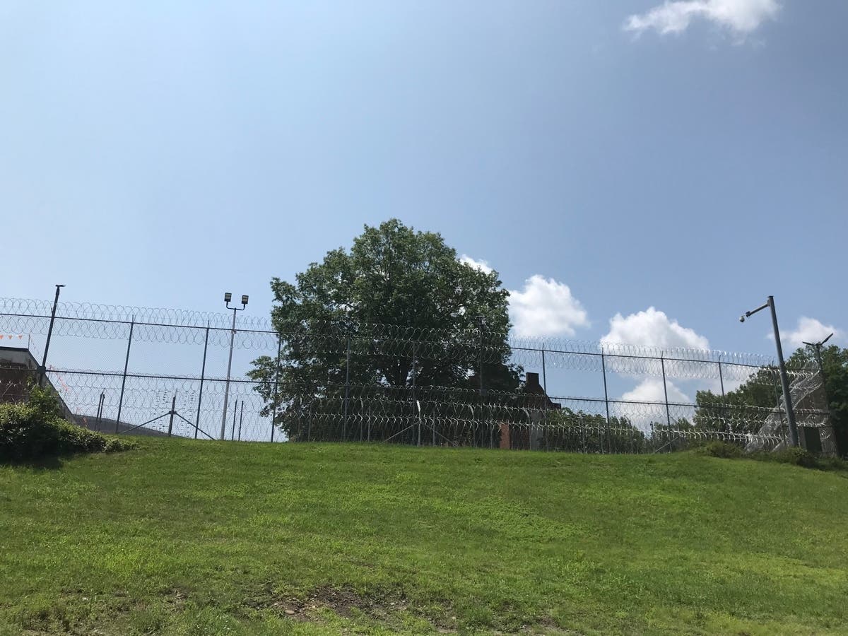 The grass really can be greener on the other side of this fence, with the right support.  