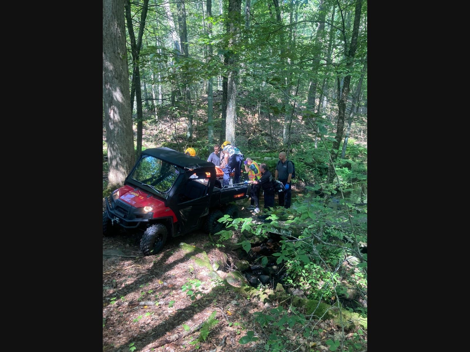 Specialized training and equipment were critical in the rescue of an injured hiker. 