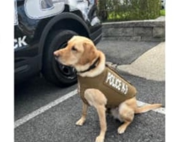 Ike looks good in his new gear. 