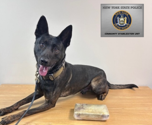After an exterior sniff of the vehicle, NYSP K-9 Vinn alerted troopers to the presence of narcotics.