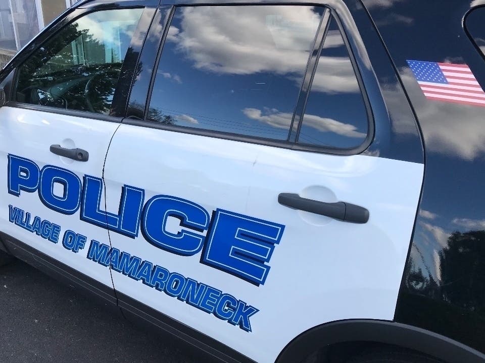 Members of the Village of Mamaroneck Police Department made a visit to Bronx County Probation, where a suspect was taken into custody during a scheduled probation appointment.