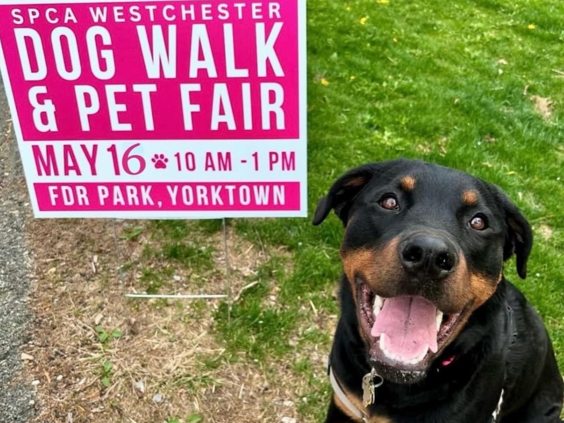SPCA Westchester will host its Dog Walk and Pet Fair on May 16 at FDR State Park, in Yorktown Heights.