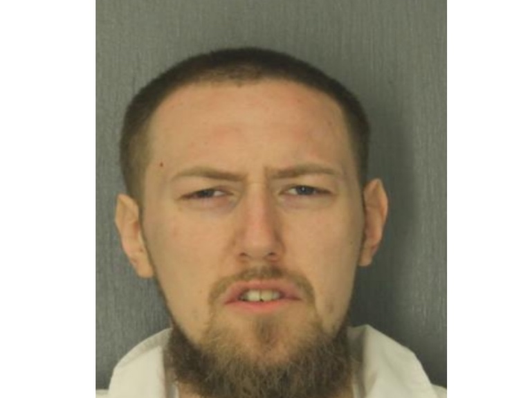 During plea proceedings, Wolfe admitted to possessing the loaded firearm, and to attempting to possess cocaine with the intent to sell it.
