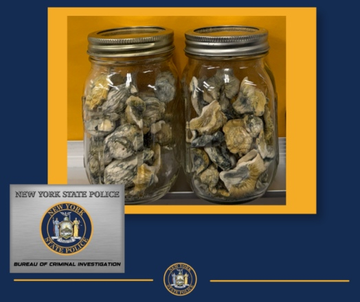 State police say he was in possession of around 45 grams of psilocybin mushrooms.