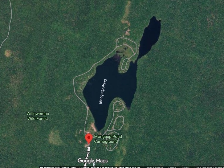State police assigned to Liberty responded at 8:48 p.m. on July 4, to a report of an overturned kayaker at the campground on Mongaup Pond Road.