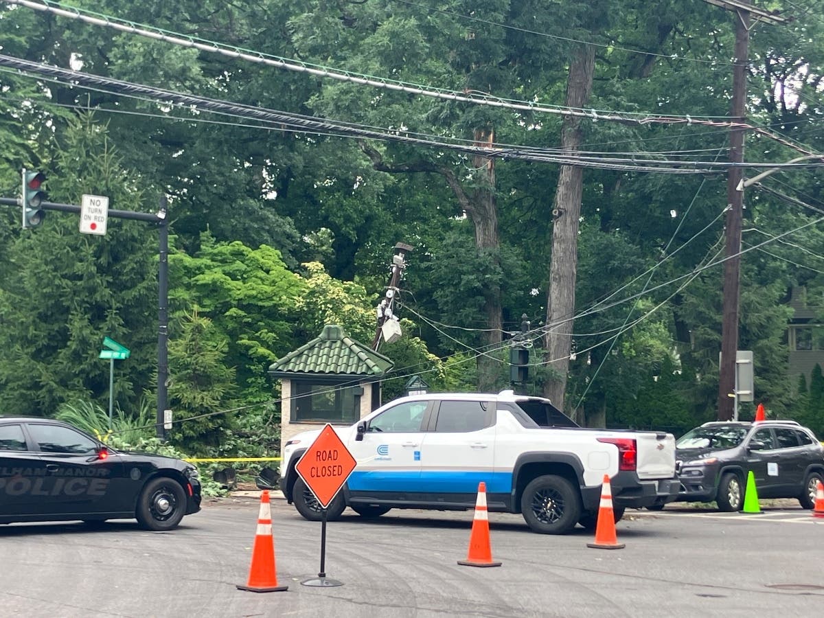 Mayor Jennifer Monachino Lapey said that the police box at Boston Post Road and Pelhamdale Road was crushed by a falling tree.