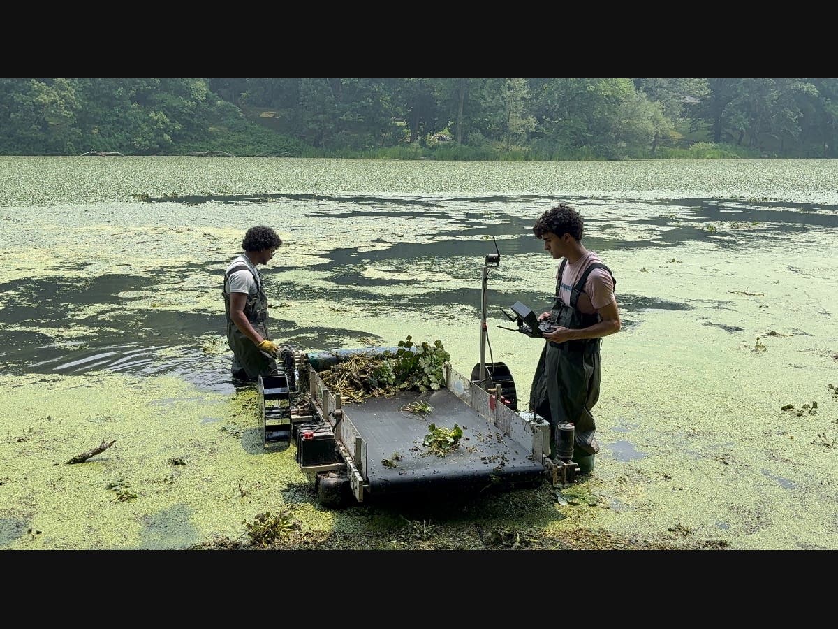 The Waterbug helps crews remove invasive plants from open water and from areas that are harder to reach by hand, adding to the work done by volunteers.