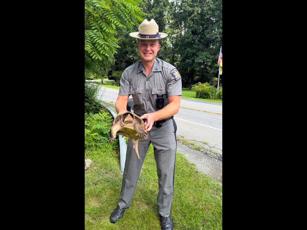NYSP police said troopers made a "different kind of traffic stop" recently.