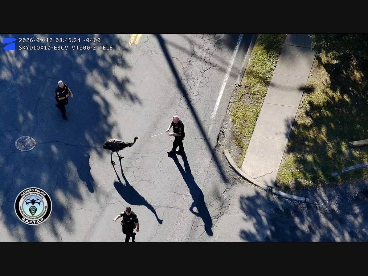 Officers said the department's Skydio Drone as First Responder (DFR) helped by providing an eye in the sky, allowing officers to track the emu’s movements and safely get it under control.