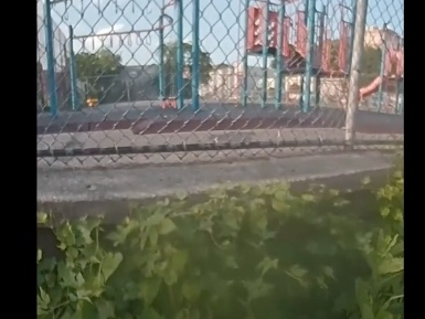 The Yonkers Police Department and SPCA Westchester Humane Law Enforcement have arrested a 37-year-old Yonkers man in connection with an investigation into the death of "Kobe," a dog who was abandoned, tied to a park fence, and left to die.