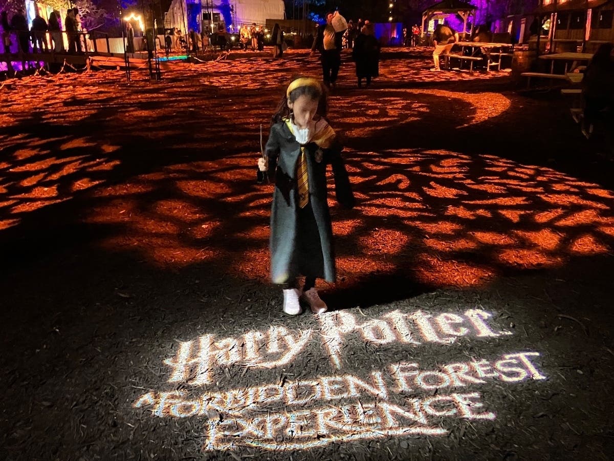 High-Tech Production Values Create Real Magic At Harry Potter Forbidden Forest Experience At FDR State Park