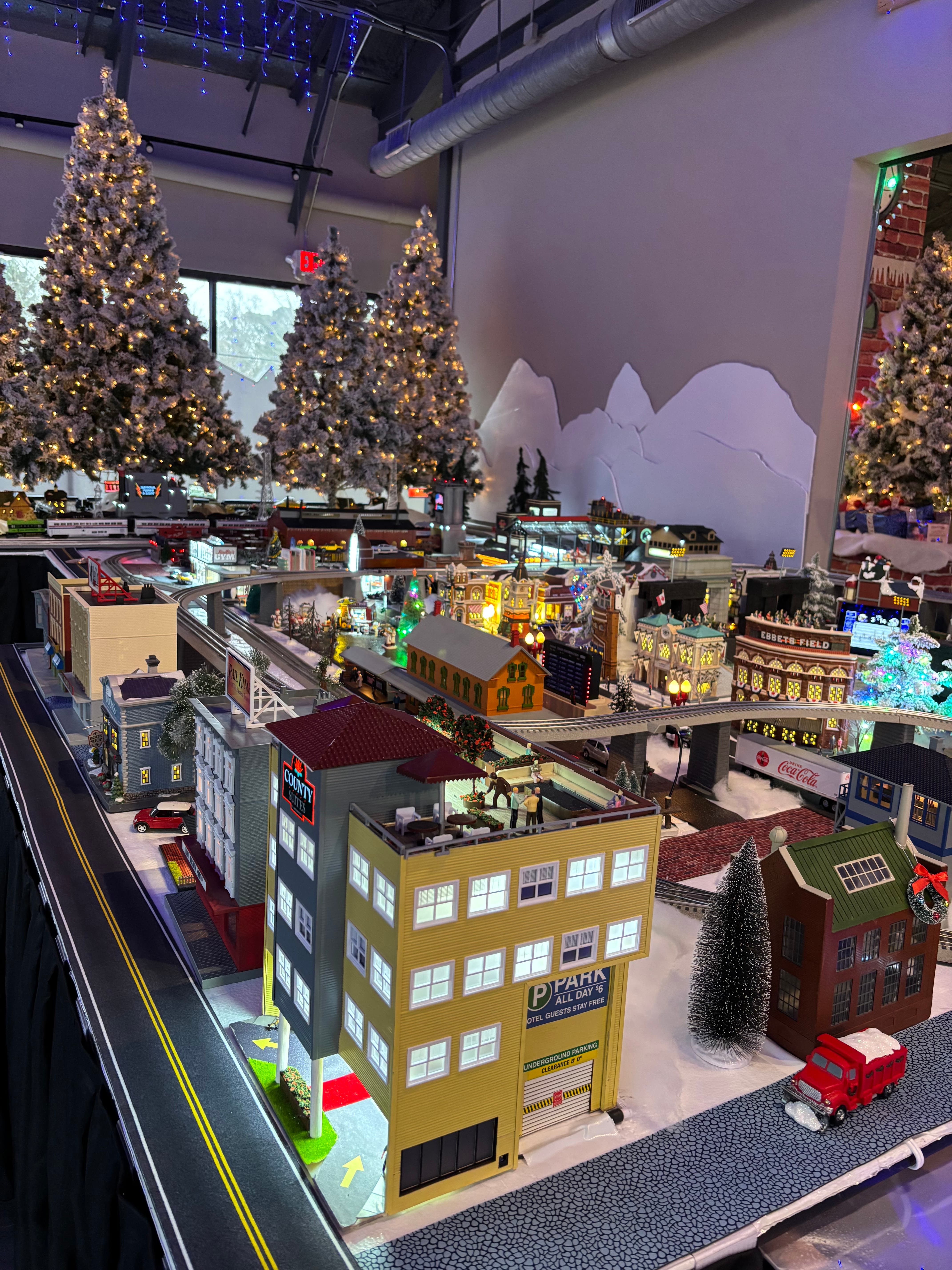 Christmas Train Experience
