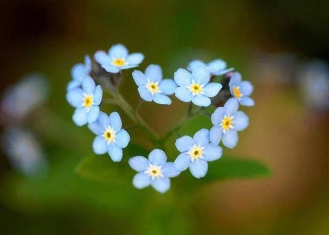 Meditation Retreat – Love, The Great Protector