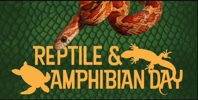 Reptile & Amphibian Day
