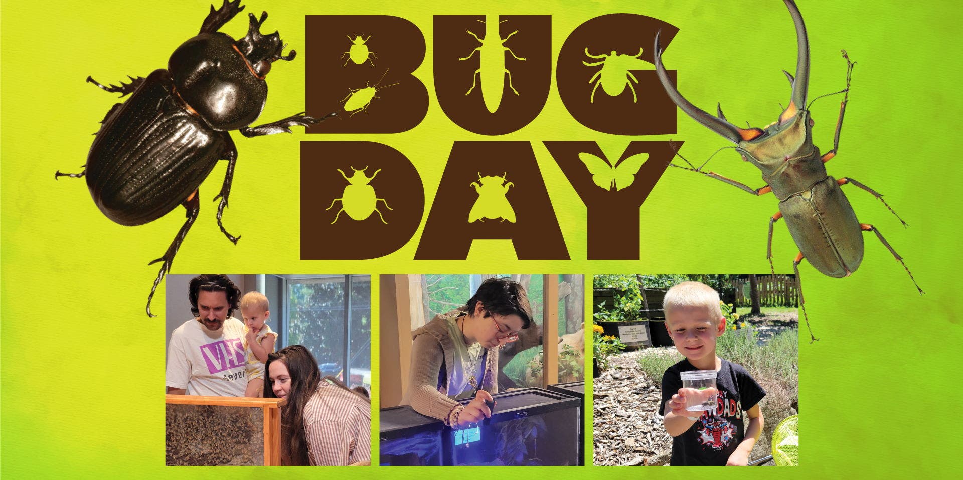 Bug Day