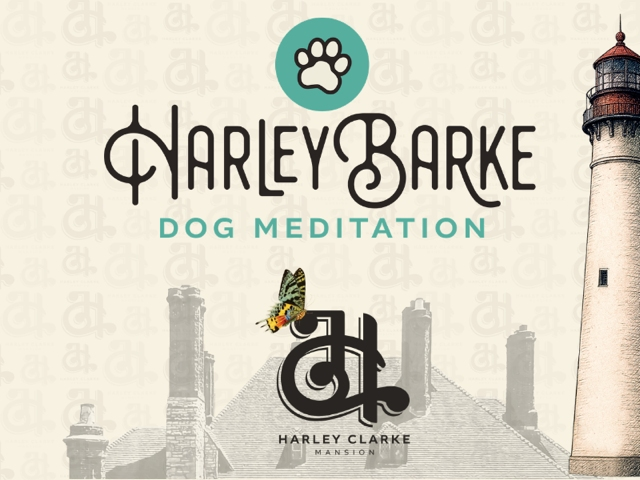 Harley Barke Dog Meditation on August 30