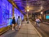 DC artist My Ly will be the first to exhibit her work in the new K Street Virtual Gallery located between 1st and 2nd Street NE in the Amtrak rail underpass