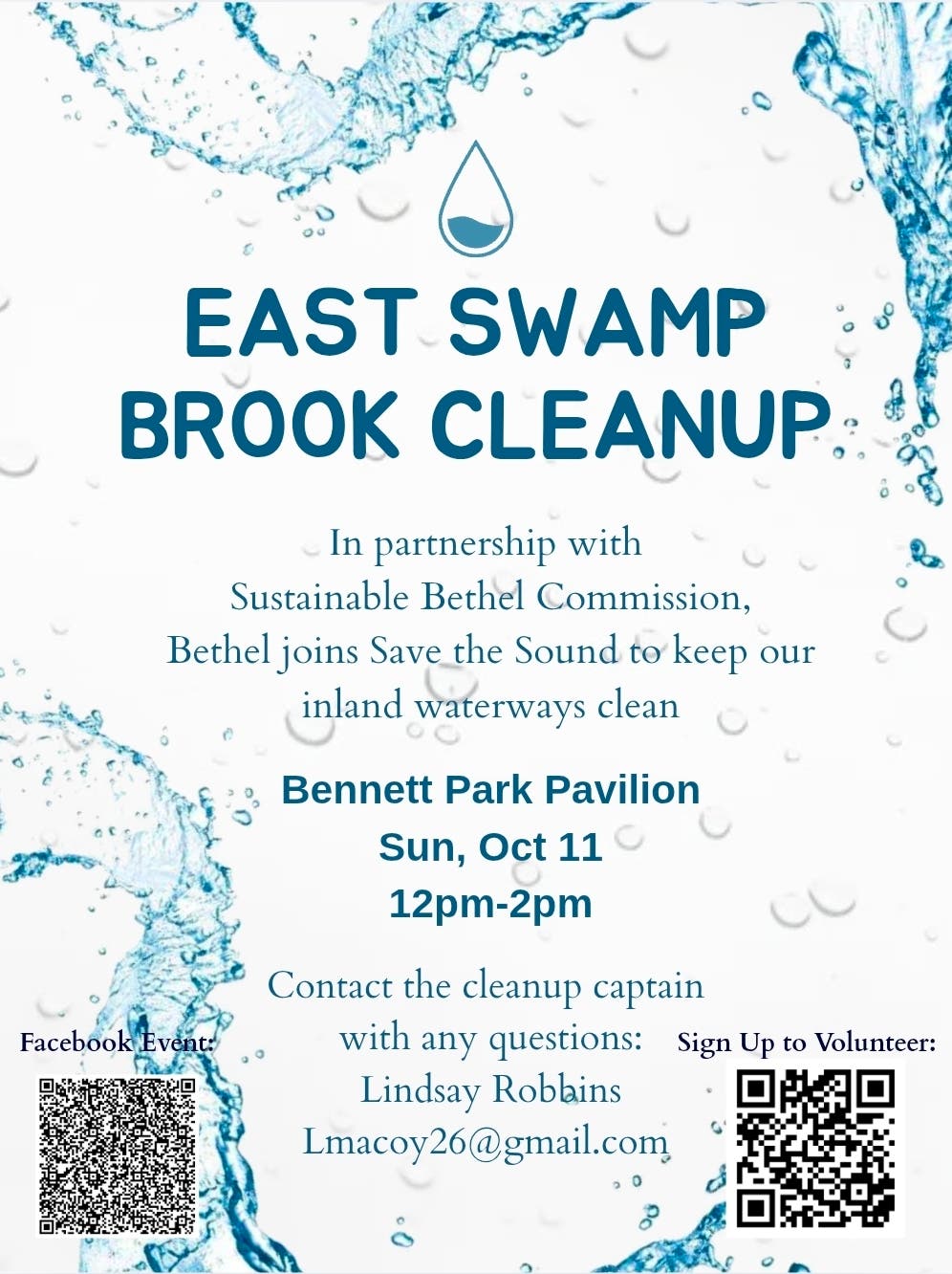 East Swamp Brook Cleanup