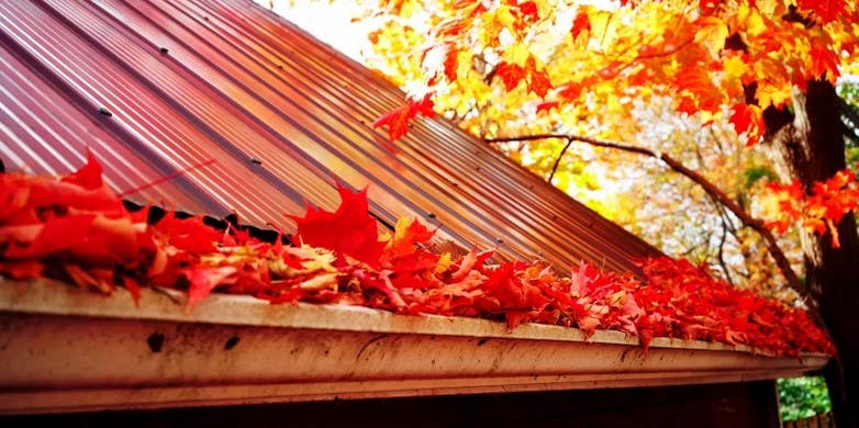 JJM Window & Gutter Cleaning