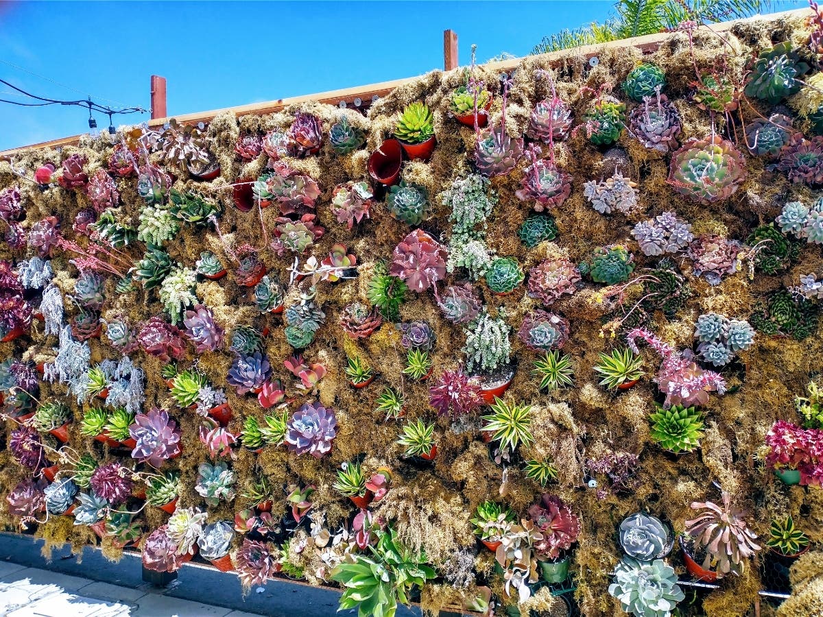 Artist Alley Living Wall