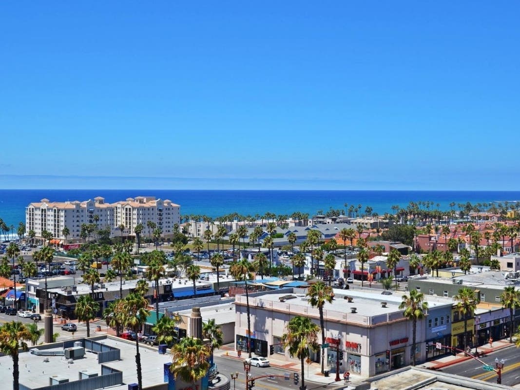 City Full of Palm Trees