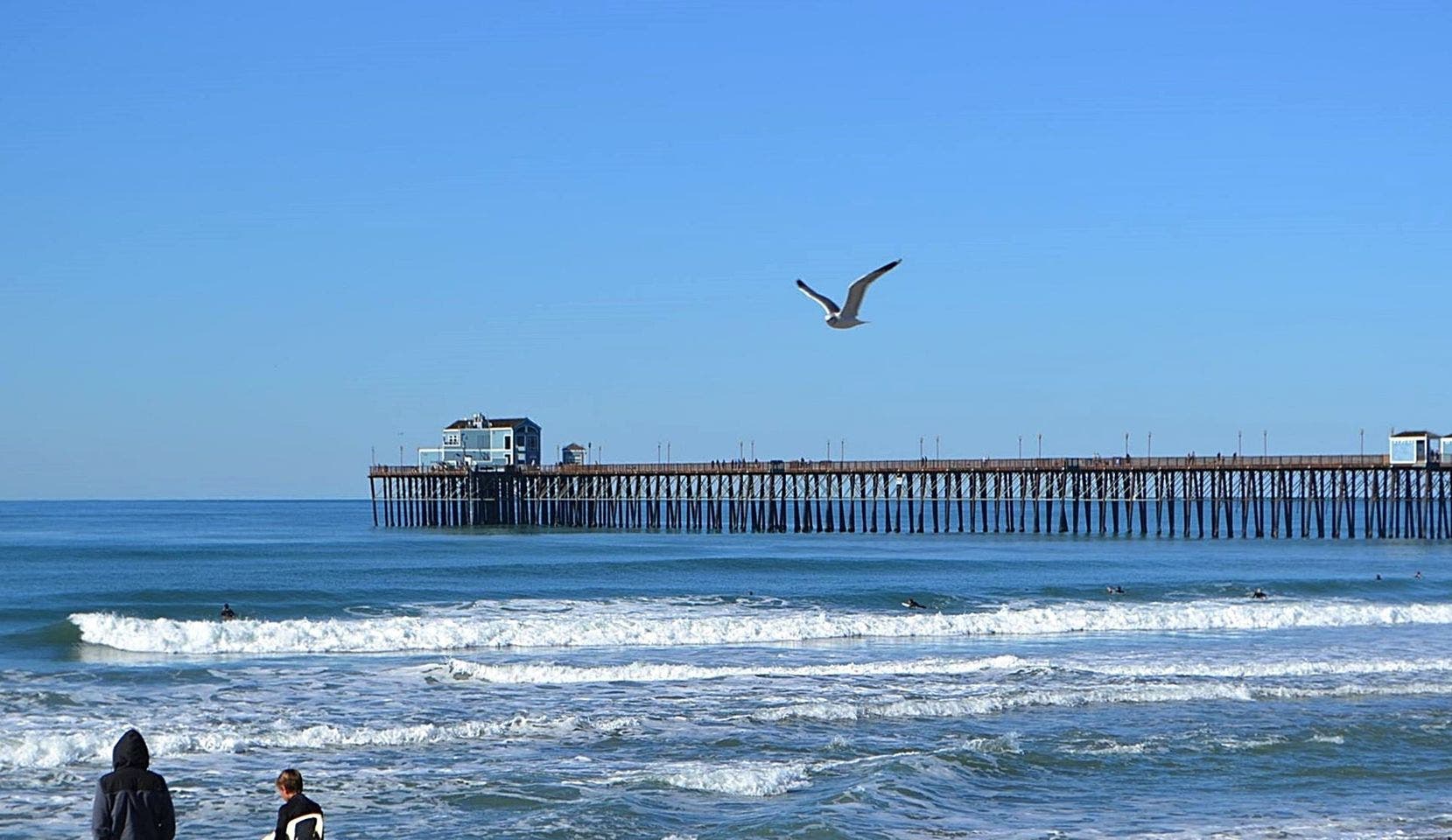 Fly By Morning View of the Pier