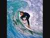 Honorable Mention For Surfer