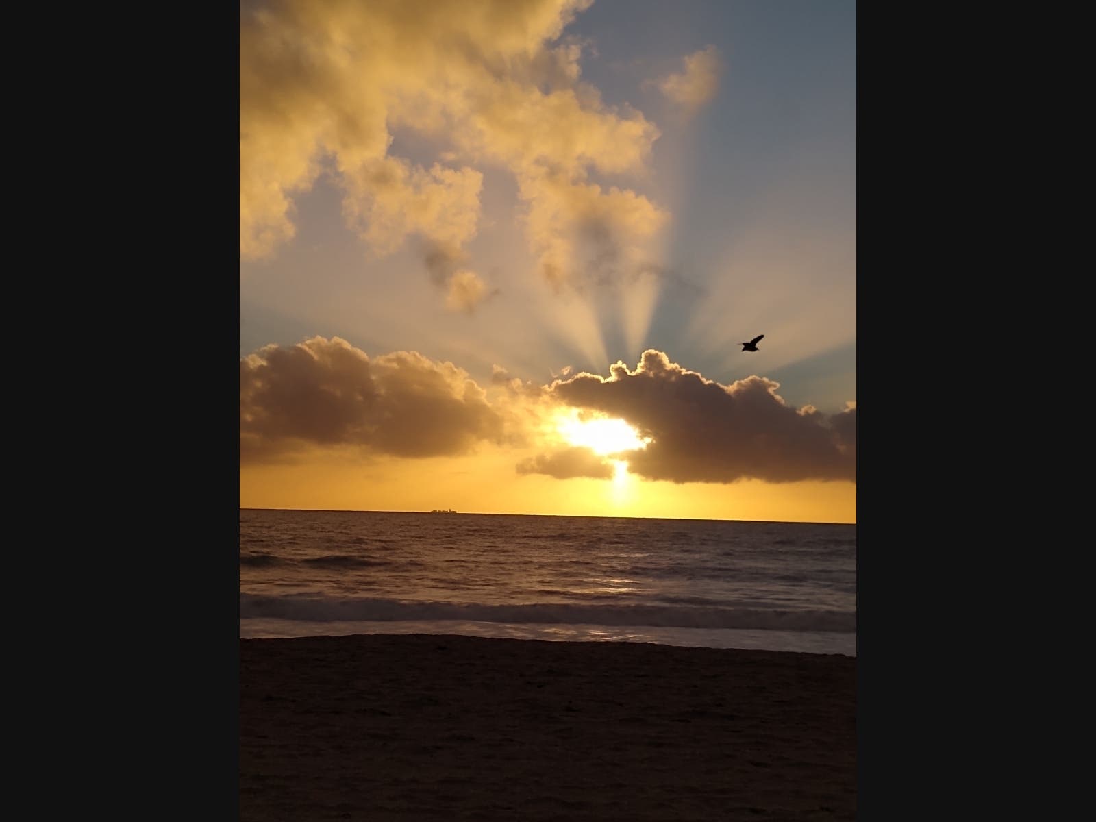 Who Swallowed The Sun