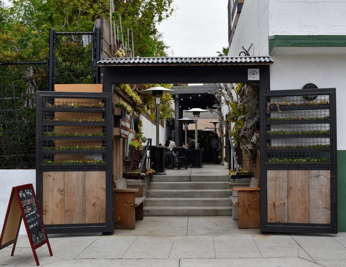 Succulent Coffee Opens In Downtown Oceanside | Oceanside, CA Patch