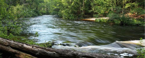 All the Water in the World! Free NRWA Program for Children Under 6 and Their Adults