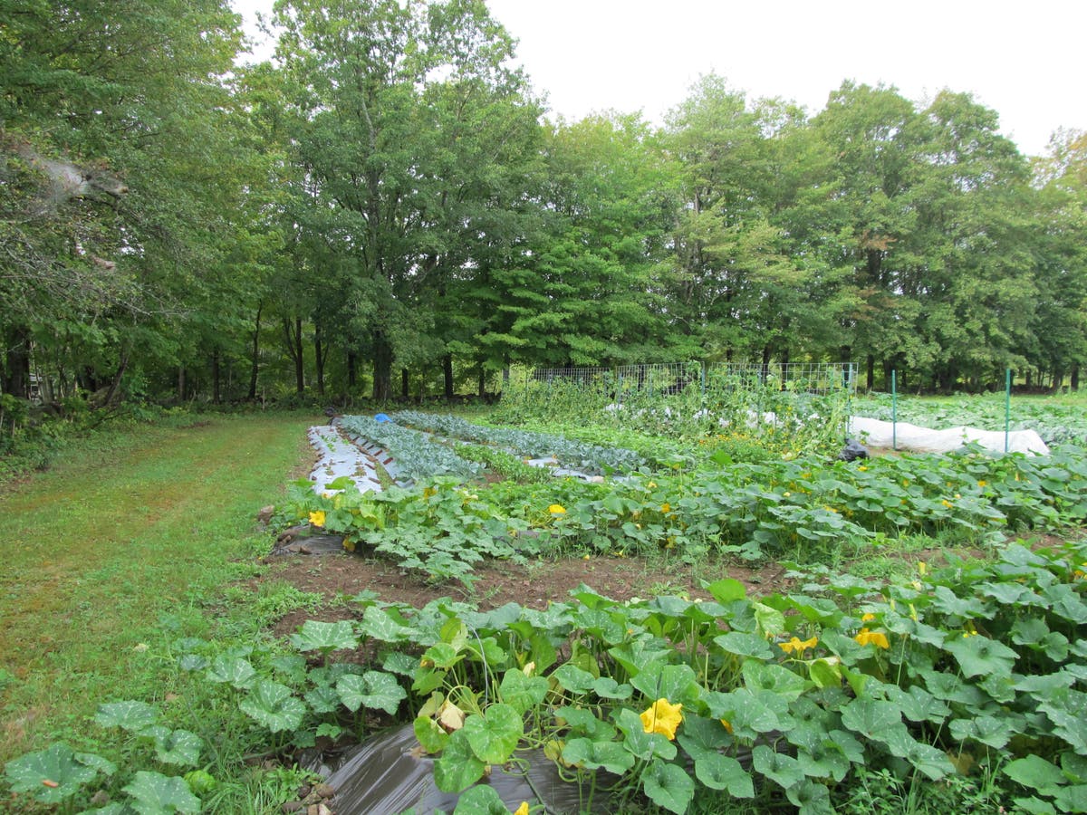 Warner River Produce