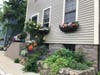 Newport Garden Display