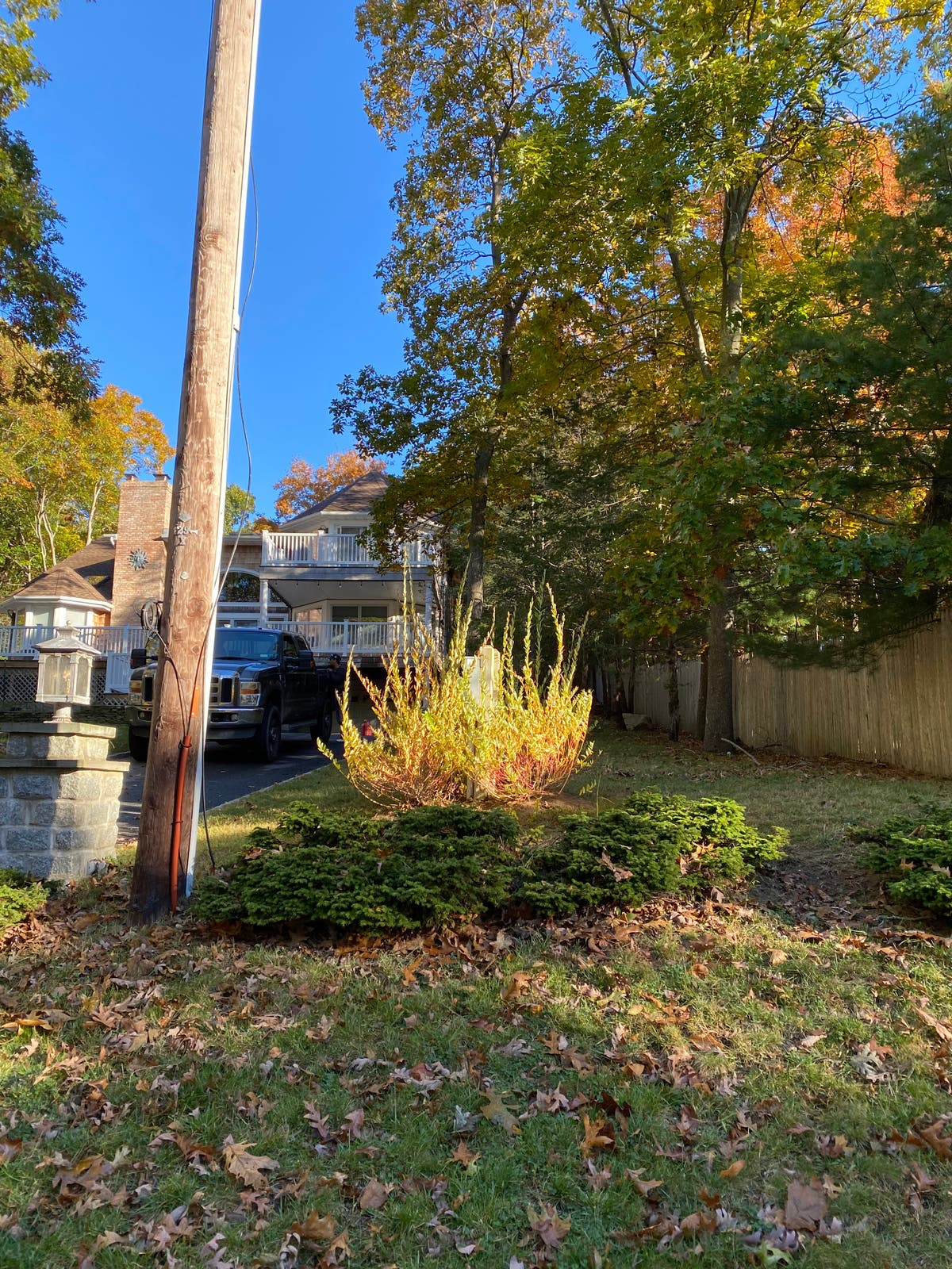MB TREE SERVICE INC 