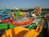 Hawaiian Falls Roanoke welcomes guests on National Day of the Cowboy.