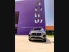 Park Place Dealerships joins the SPCA of Texas for their end of summer 2021 Clear the Shelters event through September 19. 